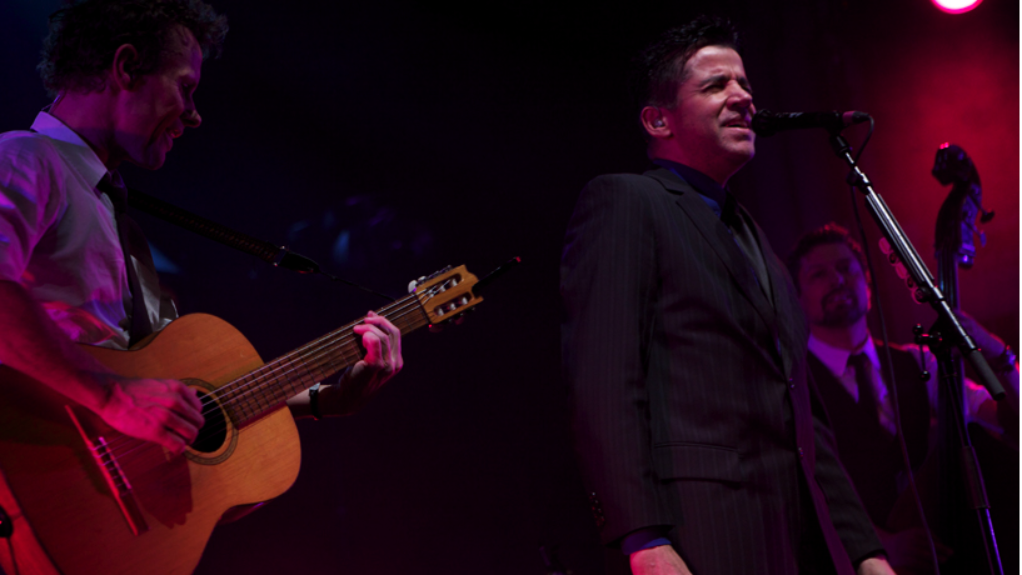 catalysti board members