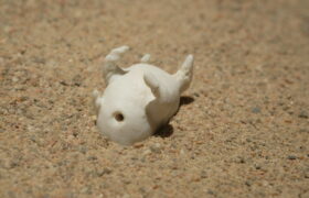 critical-mass-by-egle-oddo-detail_50907002213_l