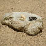 critical-mass-by-egle-oddo-detail_50907700766_l