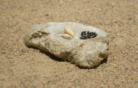 critical-mass-by-egle-oddo-detail_50907700766_l