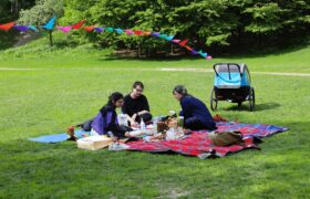 4a7a3408_53057141119_l