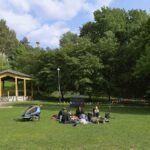 4a7a3448_53057435318_l