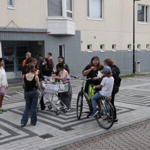 53950108867_54ba1d3af6_b