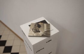 cinta-hermo-fandango-2016-and-reina-de-tus-amores-2012-cds-and-vinyl-text-3_53450184802_l