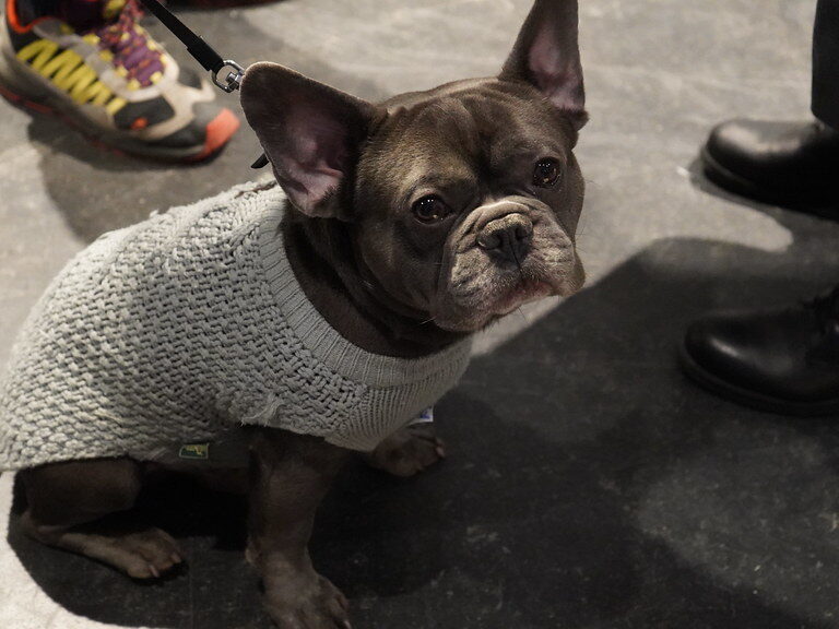 dsc00822_51951729846_l