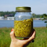 dsc01706_52304772552_l