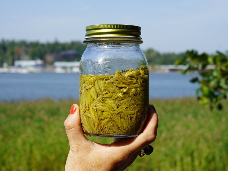 dsc01706_52304772552_l