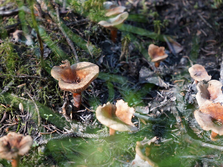 dsc01780_52306019200_l