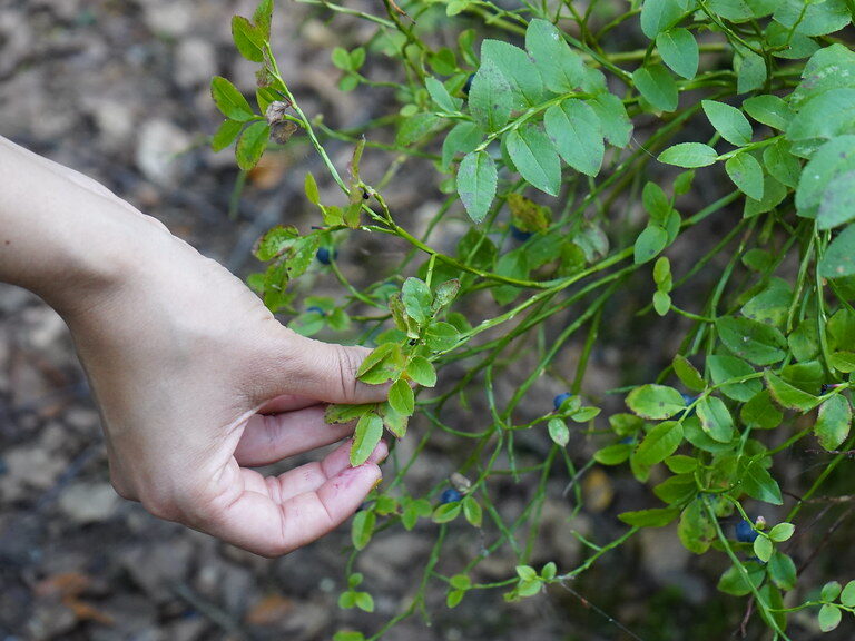 dsc01788_52306008544_l