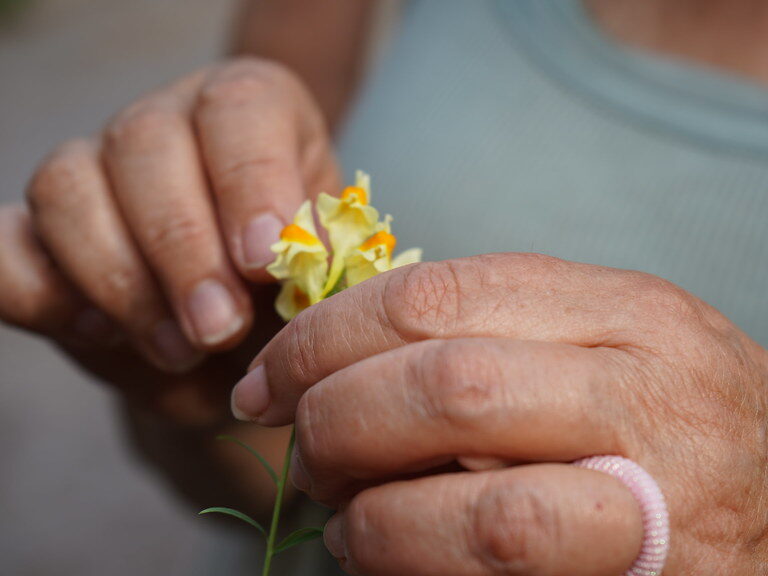 dsc01845_52305496001_l