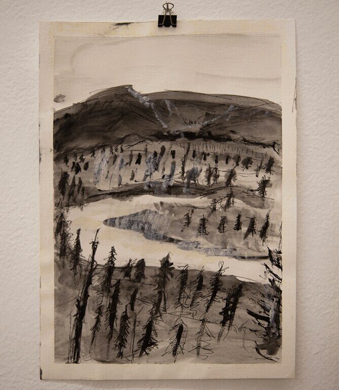 jane-hughes-forest-sketch-2020-ink-on-paper-1_53451525005_l