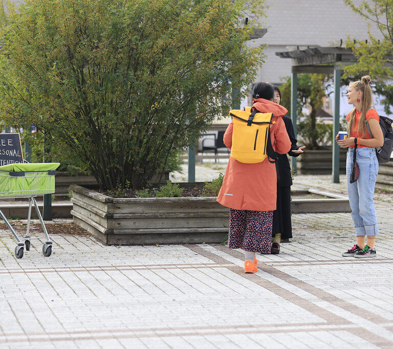 _mr51298_53951335934_l