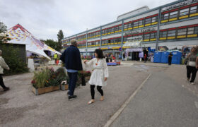 _mr51323_53951008926_l