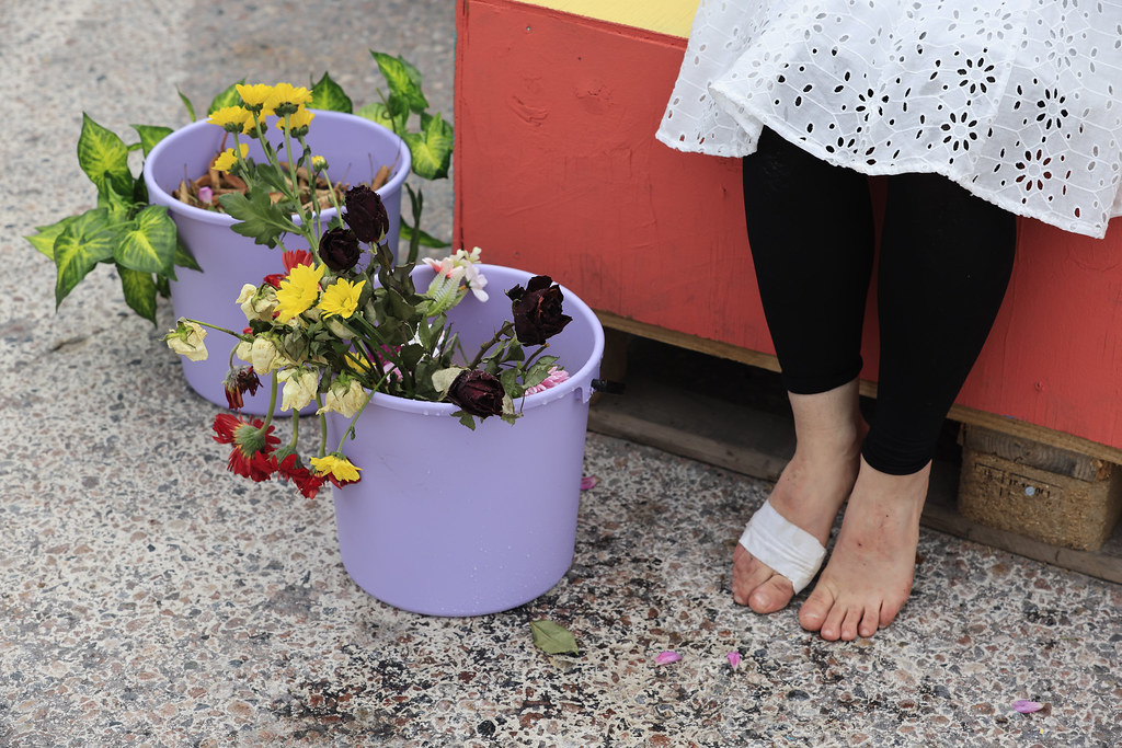 _mr51373_53951263813_l