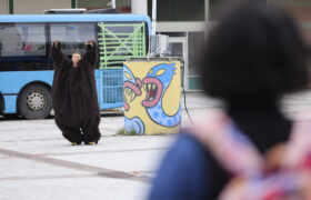 _mr51442_53951263588_l