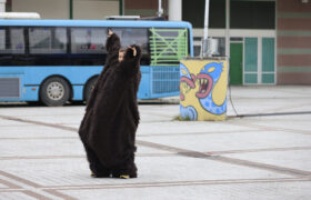 _mr51446_53951263553_l