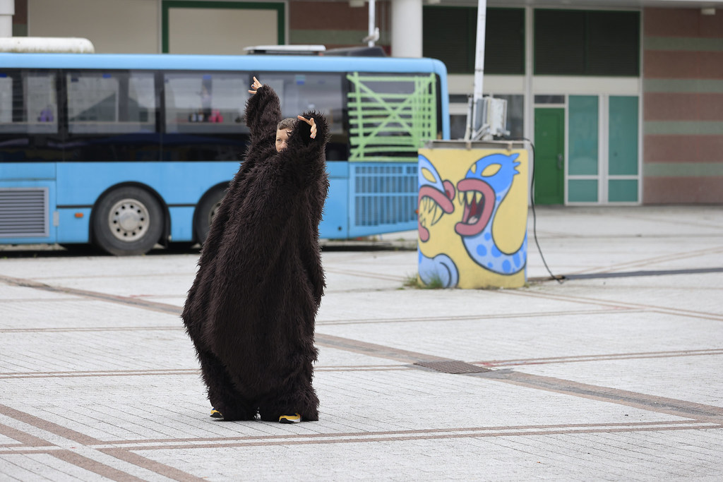 _mr51446_53951263553_l