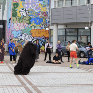 _mr51456_53951335114_l