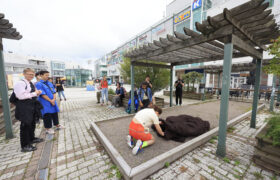 _mr51483_53951008216_l