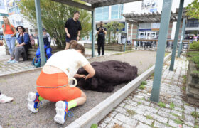 _mr51484_53951008201_l