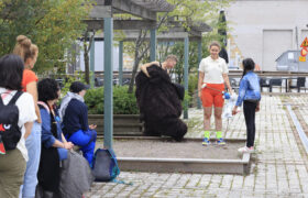 _mr51496_53951334964_l