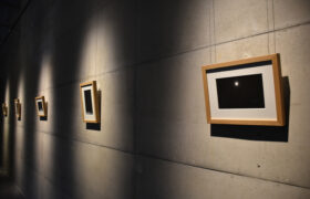 Dahlia El Broul_DSC2220 copy