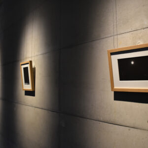 Dahlia El Broul_DSC2220 copy