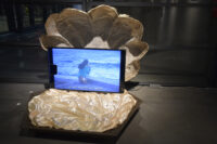 Dahlia El Broul_DSC2221 copy