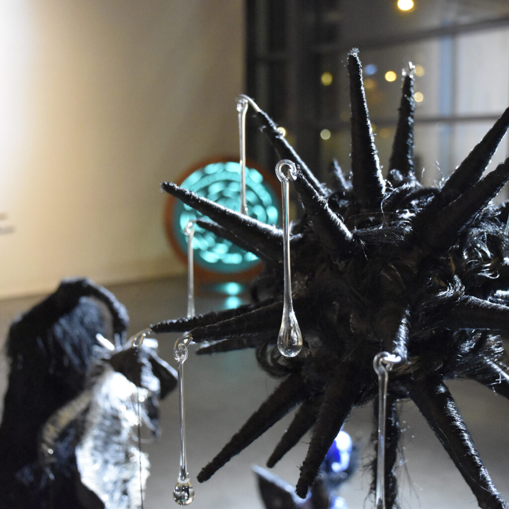 Dahlia El Broul_DSC2239 copy