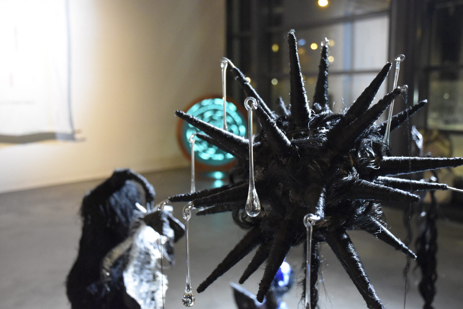 Dahlia El Broul_DSC2239 copy