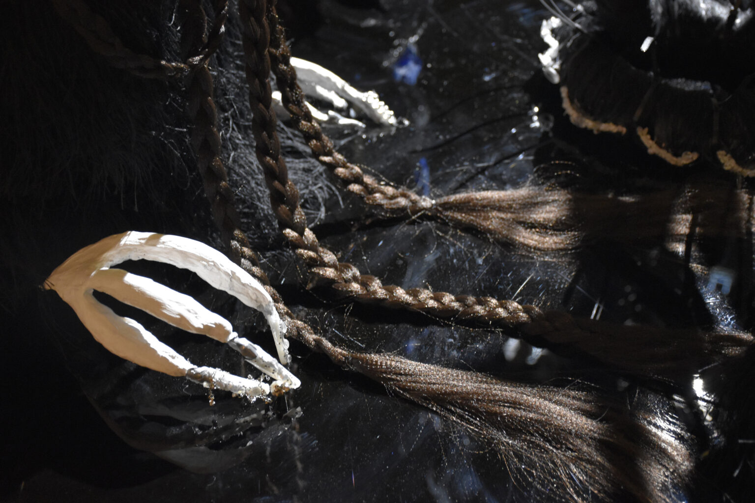 Dahlia El Broul_DSC2240 copy