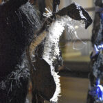 Dahlia El Broul_DSC2242 copy