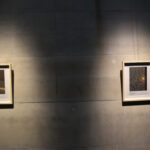 Dahlia El Broul_DSC2248 copy