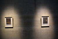 Dahlia El Broul_DSC2248 copy