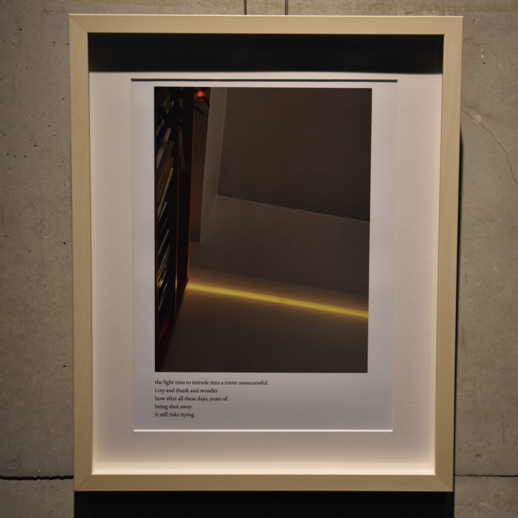 Dahlia El Broul_DSC2249 copy