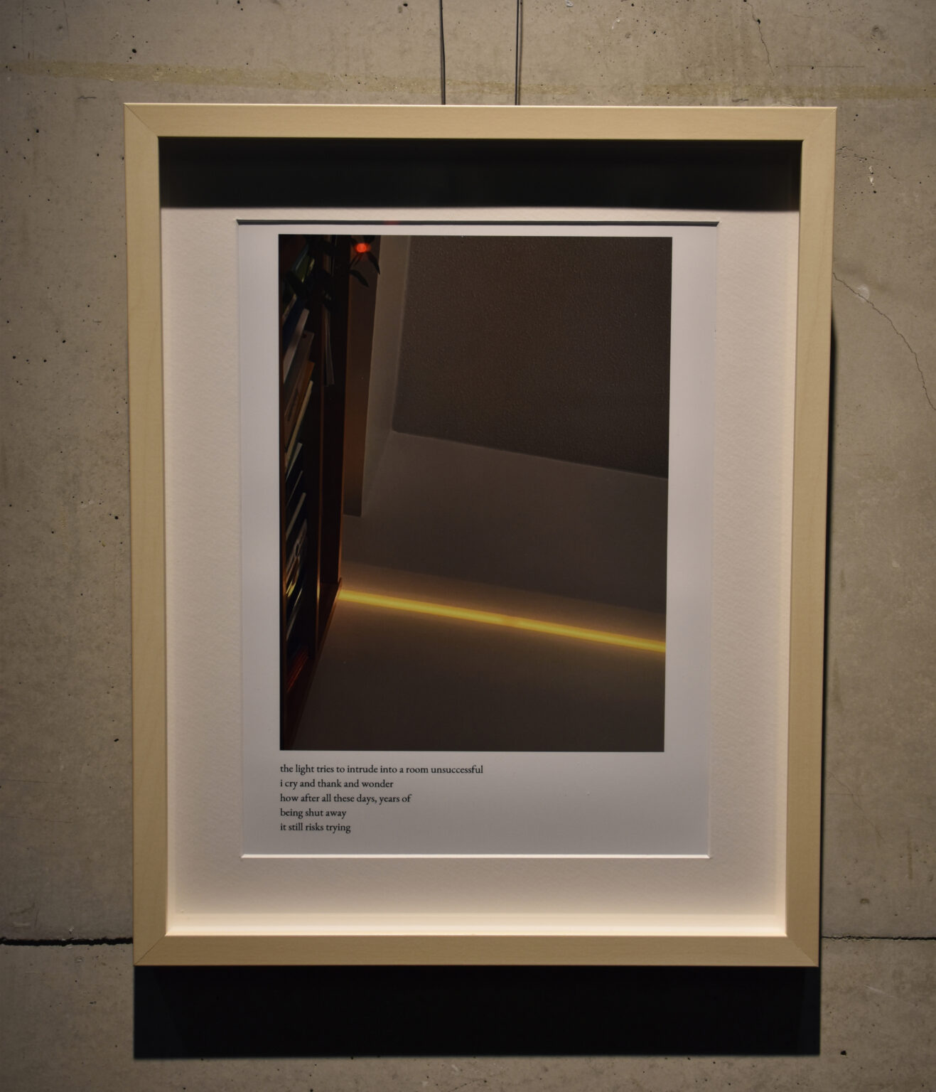 Dahlia El Broul_DSC2249 copy