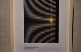 Dahlia El Broul_DSC2250 copy