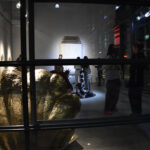 Dahlia El Broul_DSC2252 copy