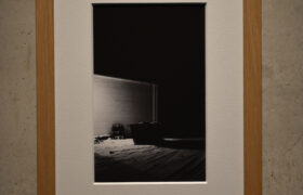 Dahlia El Broul_DSC2256 copy