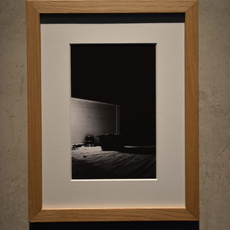 Dahlia El Broul_DSC2256 copy