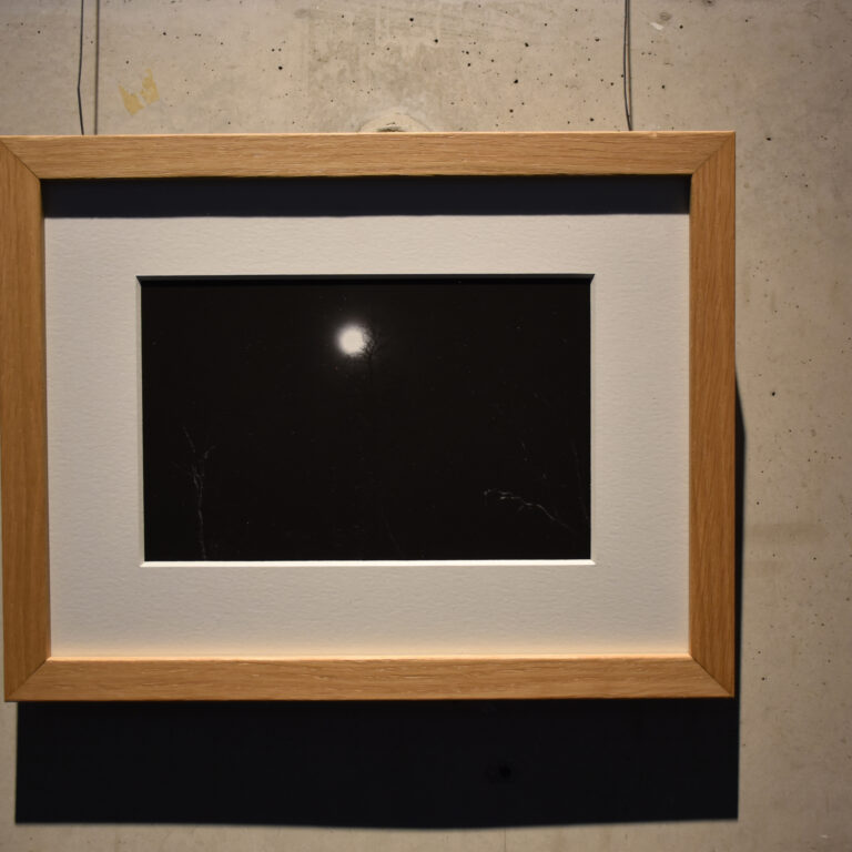 Dahlia El Broul_DSC2258 copy