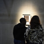 Dahlia El Broul_DSC2278 copy